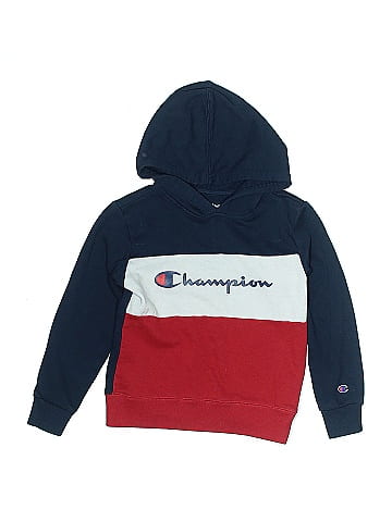 Champion Pullover Hoodie (view 1)
