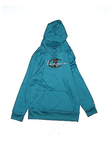 Champion Pullover Hoodie (view 1)