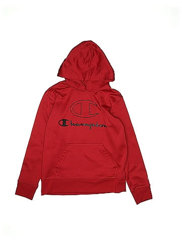 Champion Pullover Hoodie (view 1)