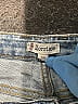 Morrison Stars Blue Jeans Size 28 waist - photo 4