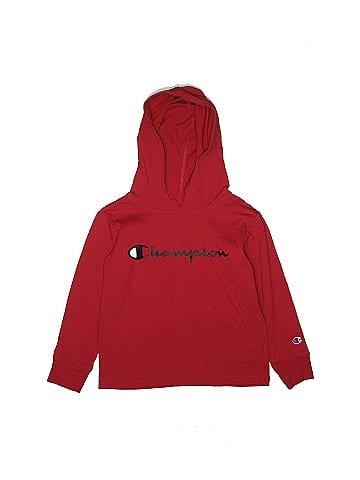 Champion Pullover Hoodie (view 1)