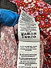 Mini Boden Burgundy Dress Size 11 (big kids) - photo 4