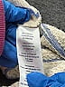 Faherty Stripes Ivory Pullover Sweater Size S - photo 7