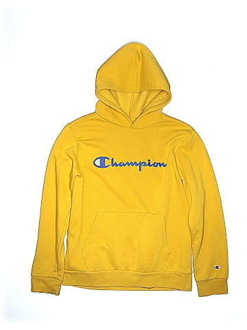 Champion Pullover Hoodie (view 1)