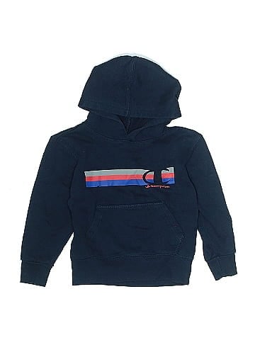 Champion Pullover Hoodie (view 1)
