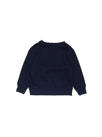 Champion Sweatshirt (view 2)