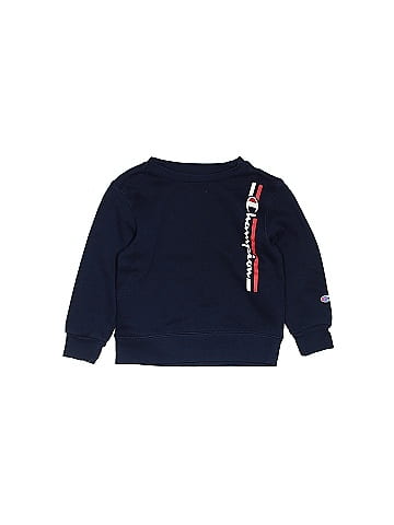 Champion Sweatshirt (view 1)