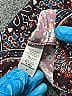 Veronica M. Paisley Burgundy Casual Dress Size M - photo 4