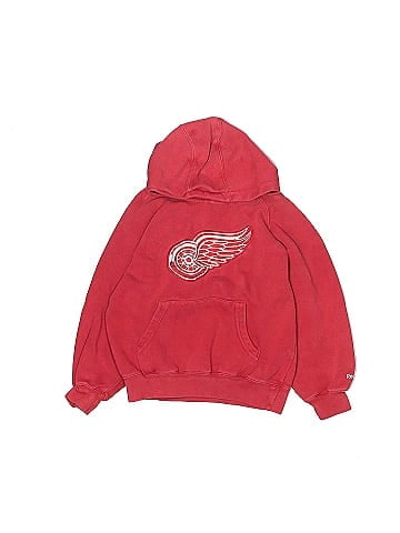 Reebok Pullover Hoodie (view 1)