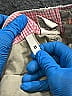 G1 100% Cotton Tan Cargo Pants Size 8 - photo 7