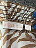 Belle By Kim Gravel 100% Polyester Animal Print Brown Long Sleeve Blouse Size 1X - photo 6