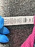 Alo Pink Sports Bra Size XS - photo 8