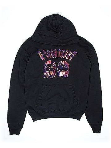 Hanes Pullover Hoodie (view 1)