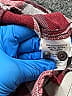 Bass Pro Shops Checkered-gingham Burgundy Long Sleeve Button-Down Shirt Size X-Small  (big kids) - photo 4