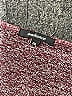 Ambiance Burgundy Long Sleeve Top Size 2X - photo 3