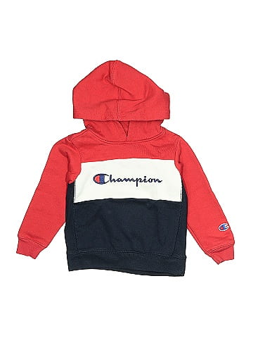 Champion Pullover Hoodie (view 1)
