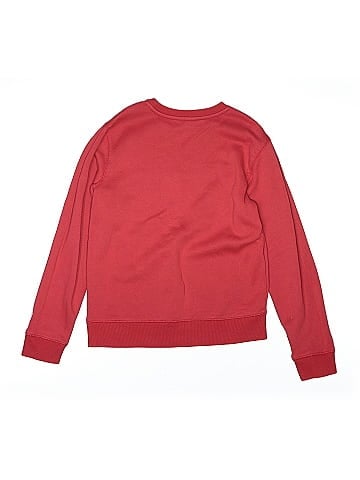 Champion Sweatshirt (view 2)