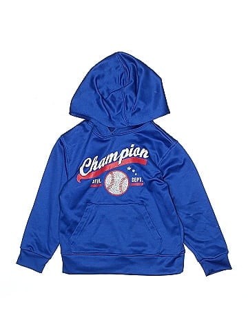 Champion Pullover Hoodie (view 1)