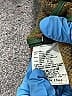 ETRO Tweed Brown Orange Blazer Size EU (IT) 40 / US 4 - photo 4