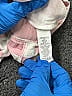 Monica + Andy 100% Cotton Argyle Pink Casual Pants Size 6-9 mo - photo 4