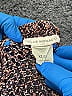 Club Monaco Tweed Brown Pullover Sweater Size XS - photo 3