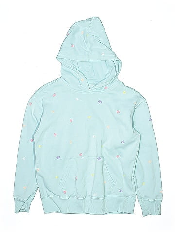 Champion Pullover Hoodie (view 1)