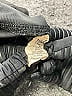Everlast Black Active Pants Size M - photo 8