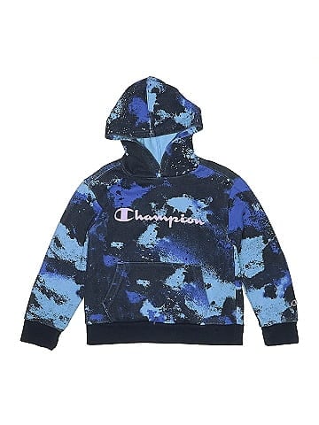 Champion Pullover Hoodie (view 1)