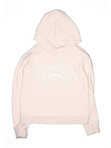 Crewcuts Outlet Pullover Hoodie (view 1)