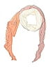 Fraas Orange Pink Scarf One size - photo 1