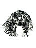 Unbranded Plaid Gray Black Scarf One size - photo 1