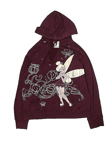 Disneyland Resort Pullover Hoodie (view 1)