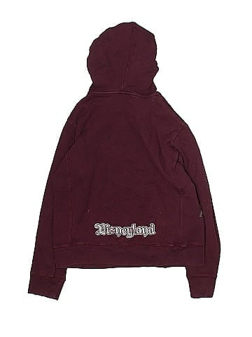 Disneyland Resort Pullover Hoodie (view 2)