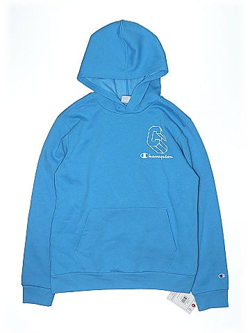 Champion Pullover Hoodie (view 1)