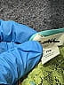 Tiny 100% Rayon Green Long Sleeve Blouse Size M - photo 7