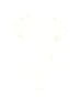 Wishlist 100% Polyester Ivory Swimsuit Top Size M - photo 1