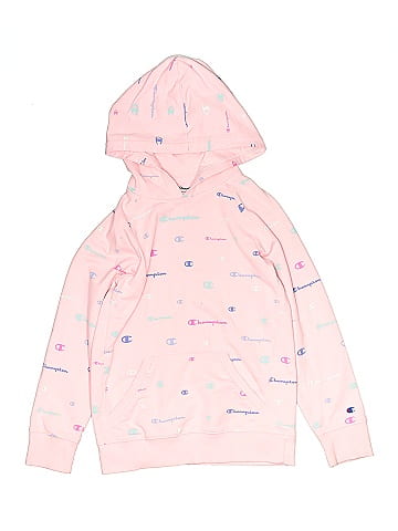 Champion Pullover Hoodie (view 1)