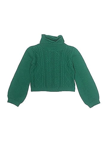Tahari Turtleneck Sweater (view 1)