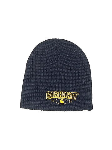 Carhartt Beanie (view 1)