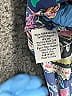 Johnny Was Paisley Blue Casual Dress Size 1X - photo 8
