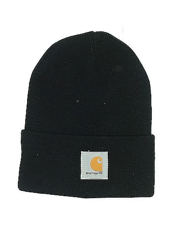 Carhartt Beanie (view 1)