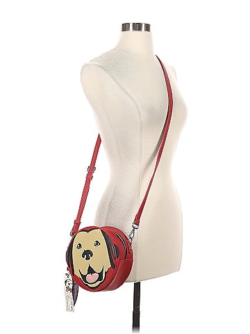Carpisa Crossbody Bag (view 2)