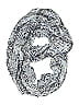 Christopher & Banks Blue Scarf One size - photo 1