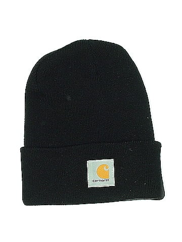 Carhartt Beanie (view 1)