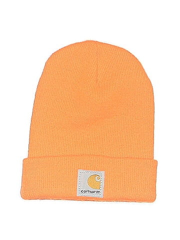 Carhartt Beanie (view 2)