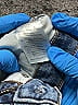 J.Crew Factory Store Hearts Blue Jeans Size 26 waist - photo 6