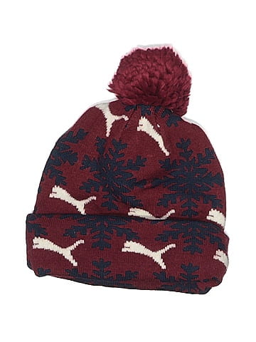 Puma Beanie (view 1)
