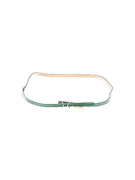 Talbots Belt (view 1)