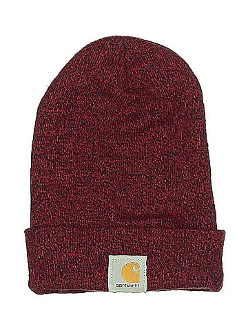 Carhartt Beanie (view 1)