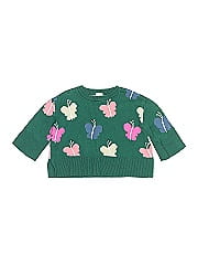 Baby Gap Pullover Sweater